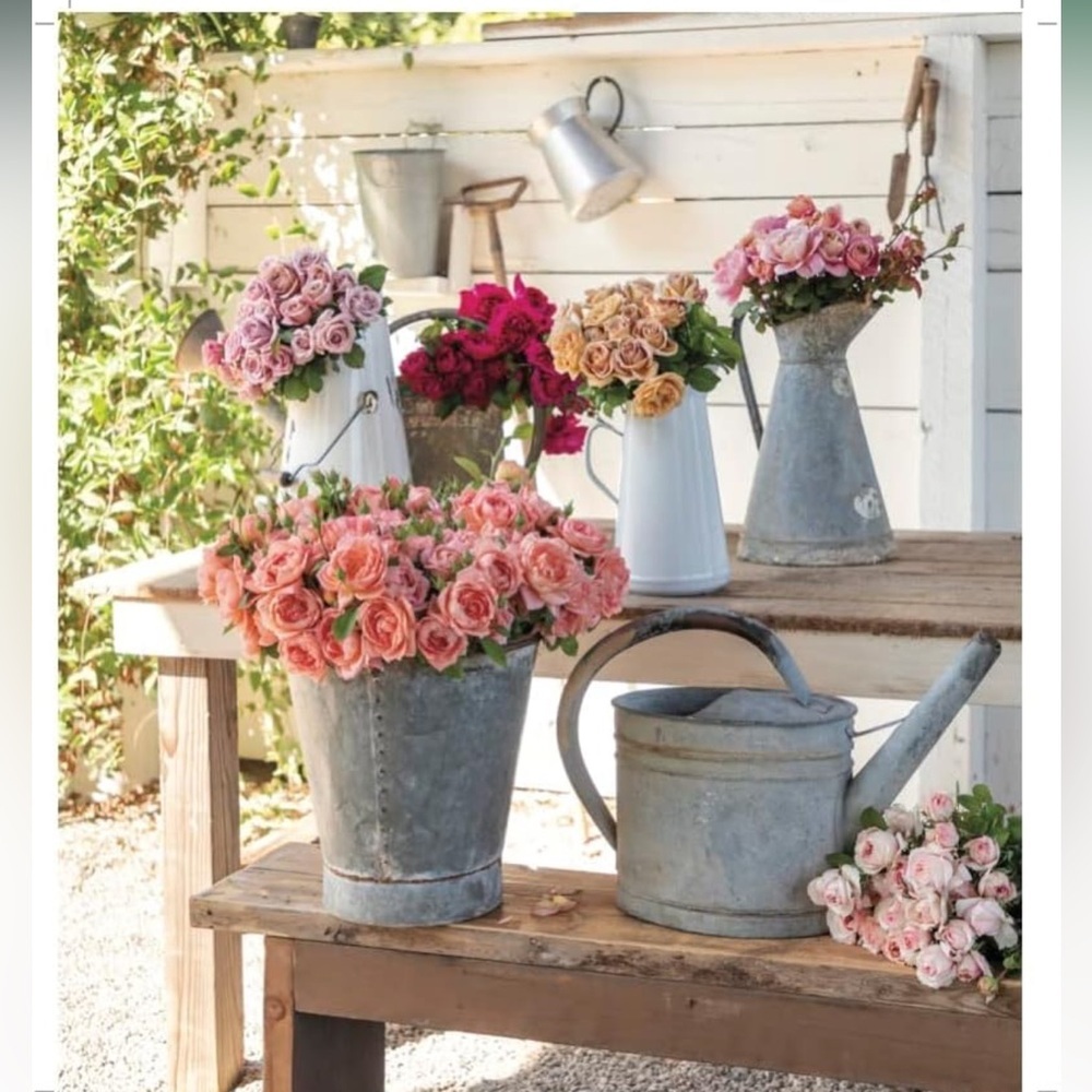 Living with Roses Coffee Table Book with Signature Recipes - Picture 11 of 11